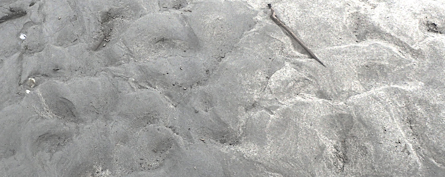 sandbed dunes anti-dunes