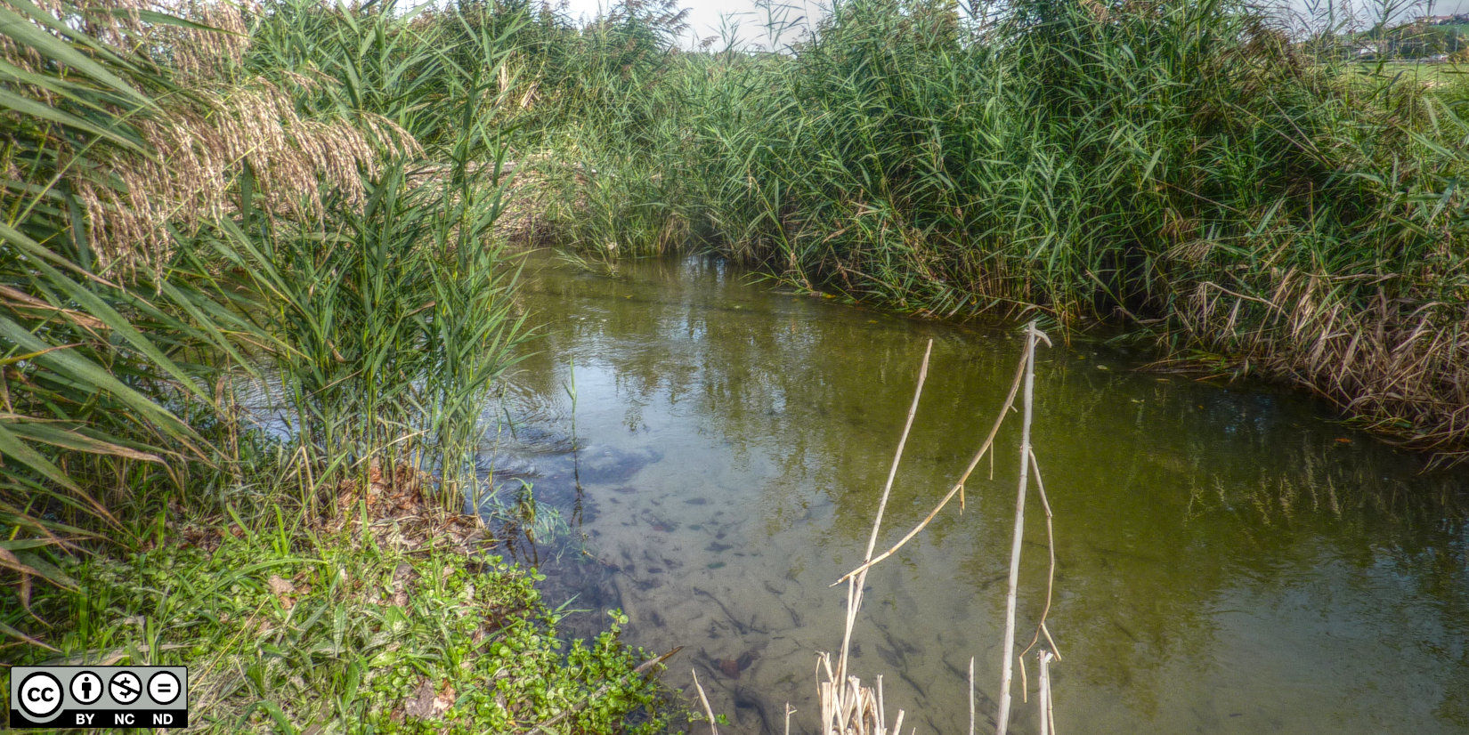 arbogne Switzerland Fribourg