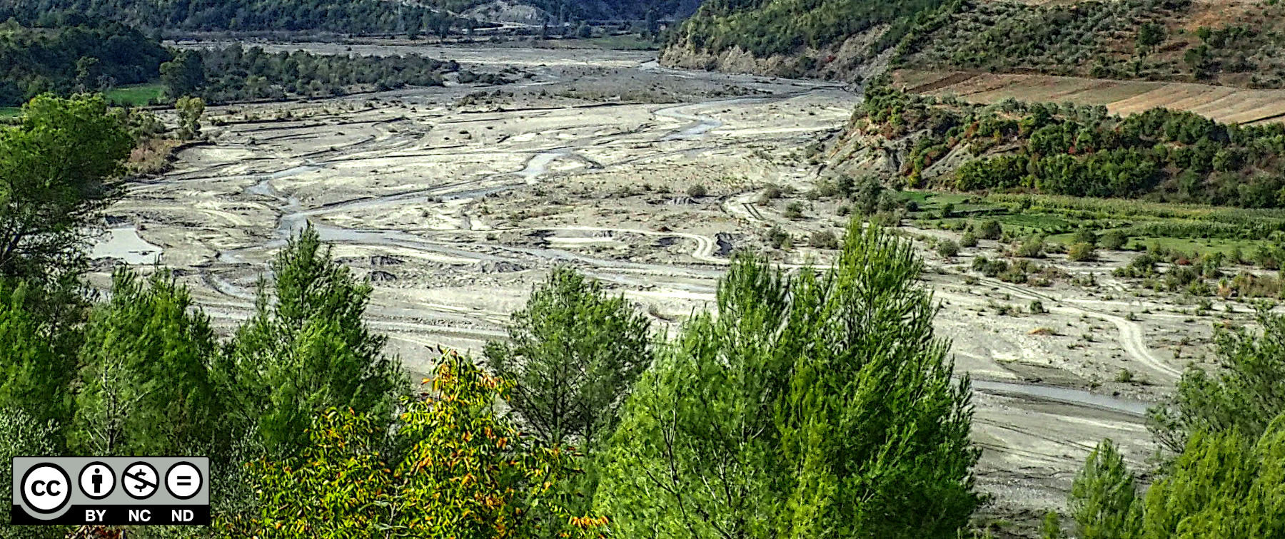 river geomorphology anabranch tresse zopfform