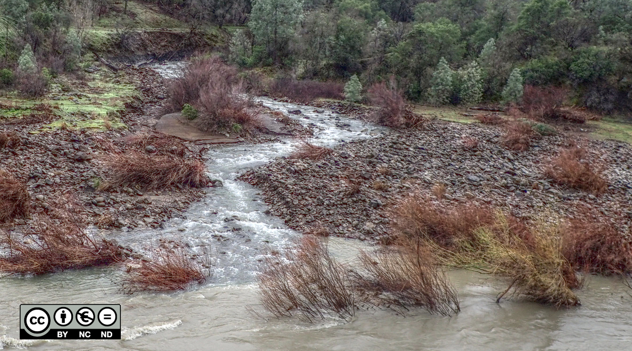 hydrodynamics morphodynamics