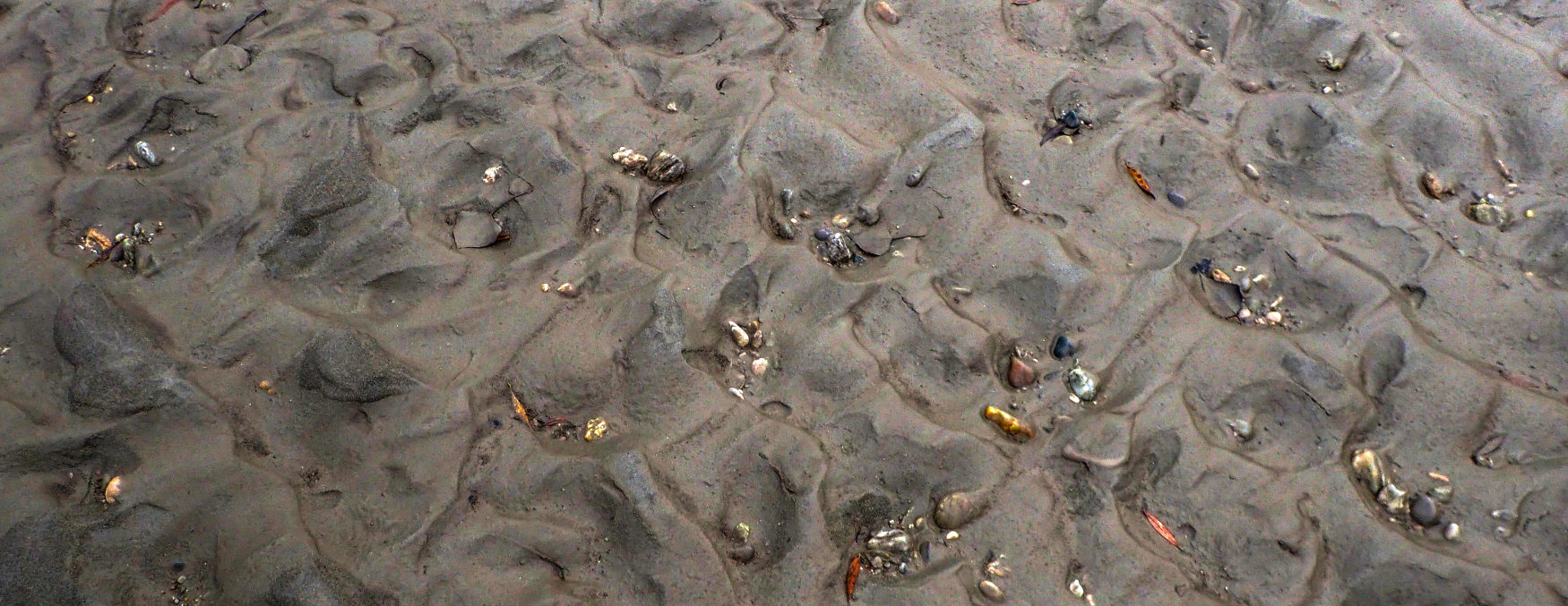 riverbed clogging siltation colmation colmatation Kolmation